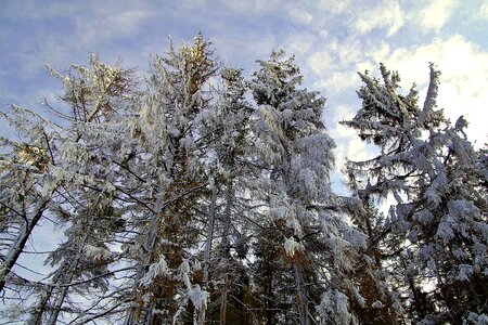 Snow stok mountain photo