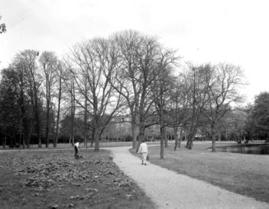 Ophogen van het Vondelpark, Bestanddeelnr 908-8015