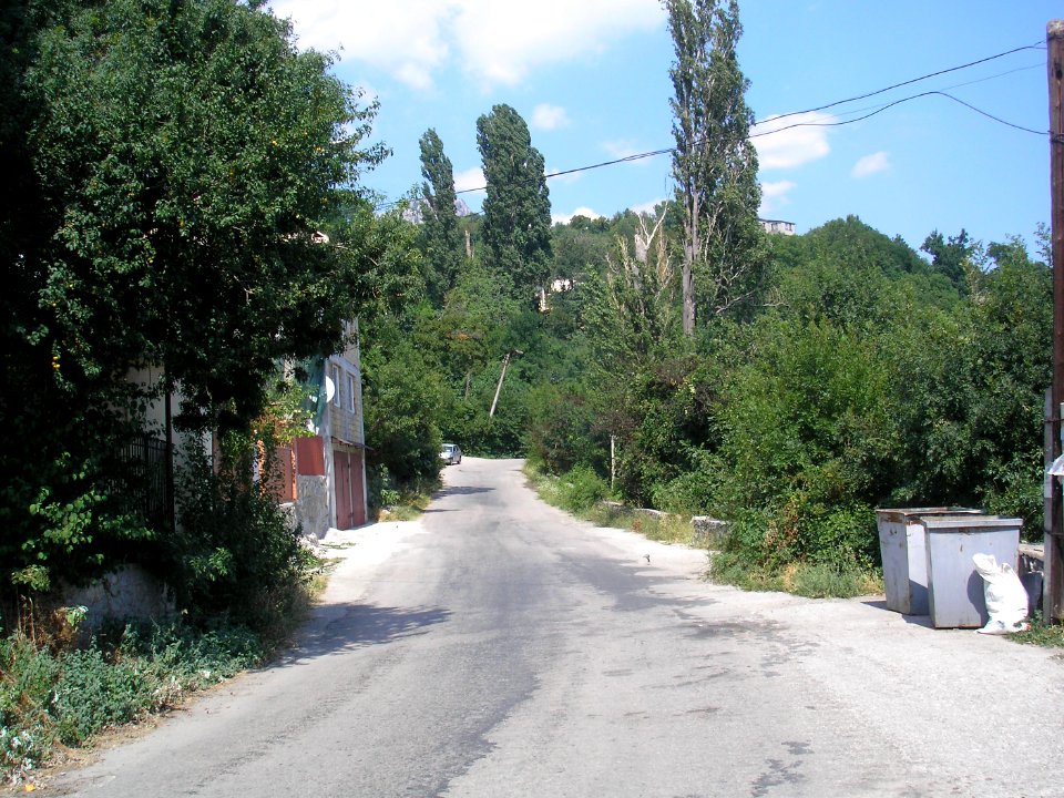 Opolznevoe 7
