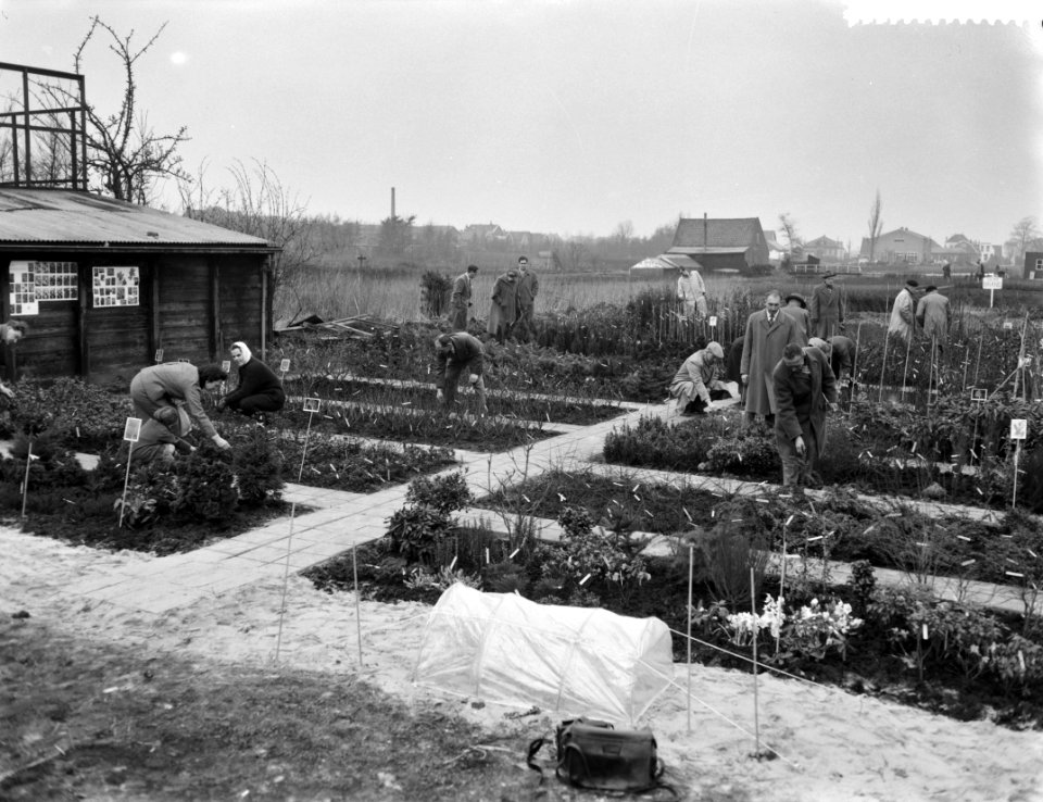 Opening van zelfbedieningstuin in Boskoop, Bestanddeelnr 910-2139