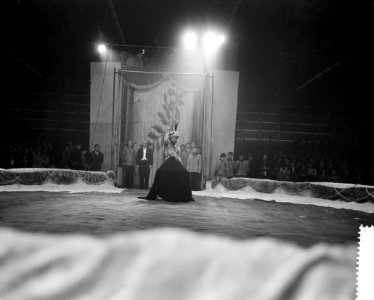 Optreden van het Russisch staatscircus in de Ahoyhal te Rotterdam, Russische clo, Bestanddeelnr 912-1257
