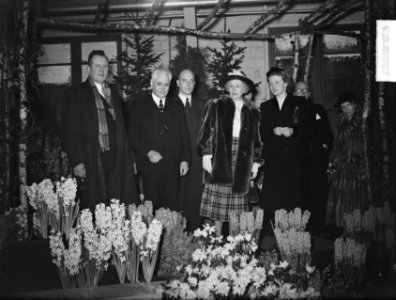 Opening voorjaarsbloemen tentoonstelling Lisse door Burgemeester P.J. Oud, Bestanddeelnr 904-4414