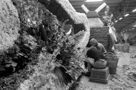 Optochten, bloemencorso's, praalwagens, Bestanddeelnr 929-1371