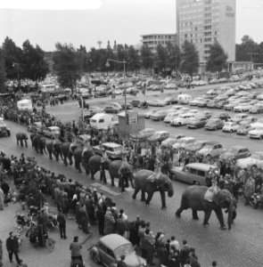 Optocht circus Williams door Rotterdam Olifantenoptocht, Bestanddeelnr 912-5598
