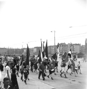 Optocht met vlaggen, Bestanddeelnr 900-3068