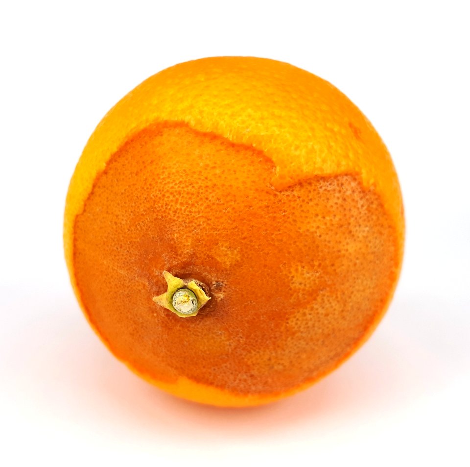 Orange scab 2017 C