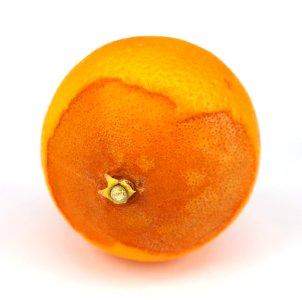 Orange scab 2017 C