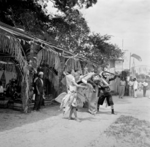 Optreden van Javaanse dansers in Lelydorp, Bestanddeelnr 252-4702
