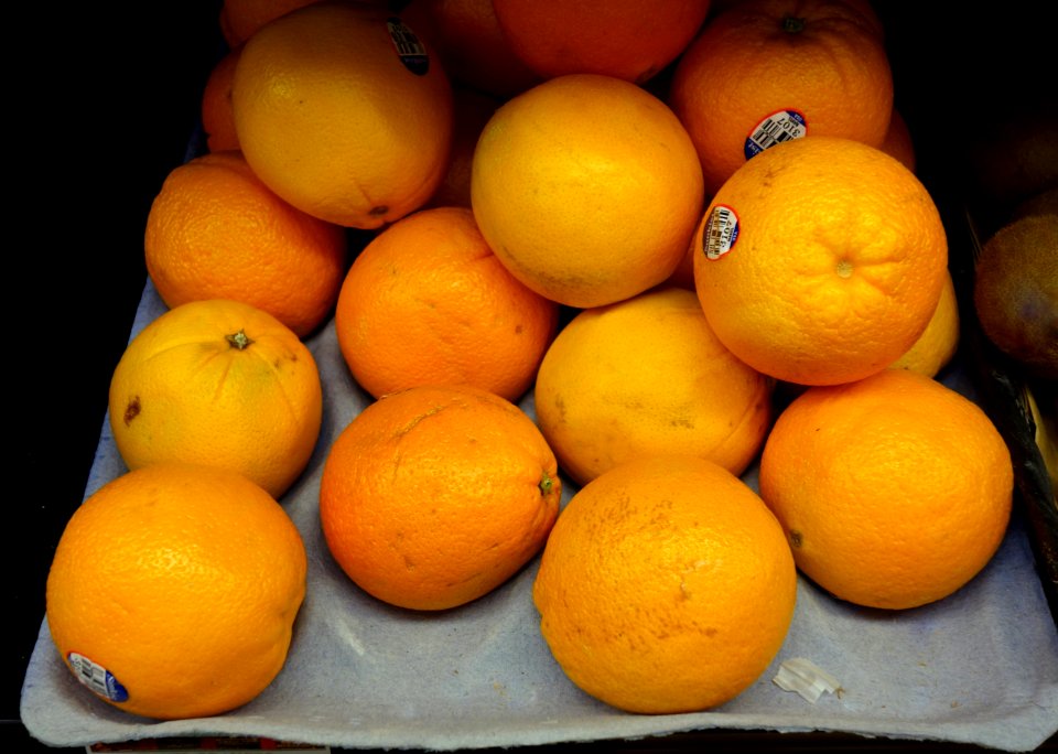 Oranges - DSC06058