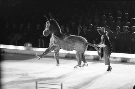 Optreden van de Weense IJsrevue in de Expohal te Hilversum, Bestanddeelnr 912-1208