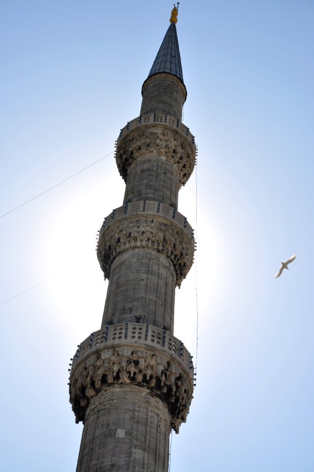 Solar bird tower
