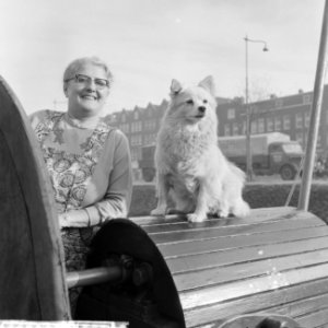 Opname binnenschepen in havens en kaden in Rotterdam in opdracht o.a. Het schip, Bestanddeelnr 911-7582