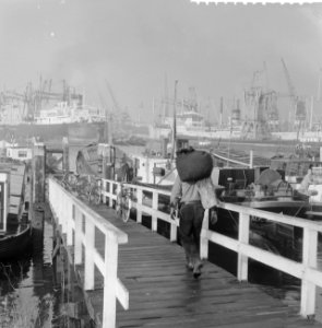Opname binnenschepen in havens en kaden in Rotterdam in opdracht o.a. Het schip, Bestanddeelnr 911-7573