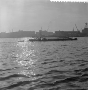 Opname binnenschepen in havens en kaden in Rotterdam in opdracht o.a. Het schip, Bestanddeelnr 911-7590