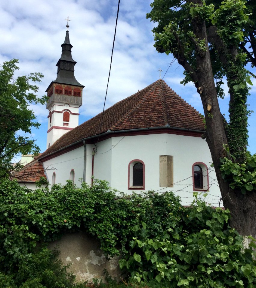 Orastie Dormition 2
