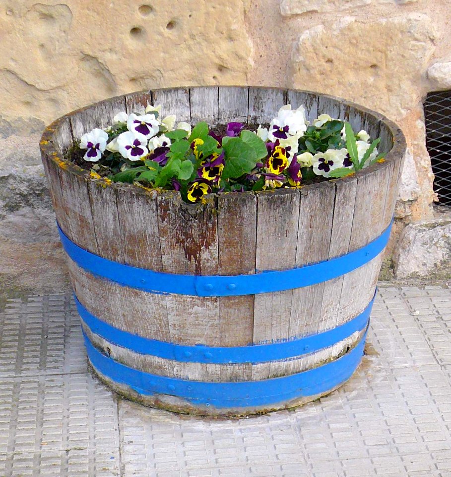 Orón (Miranda de Ebro) 17