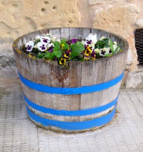 Orón (Miranda de Ebro) 17