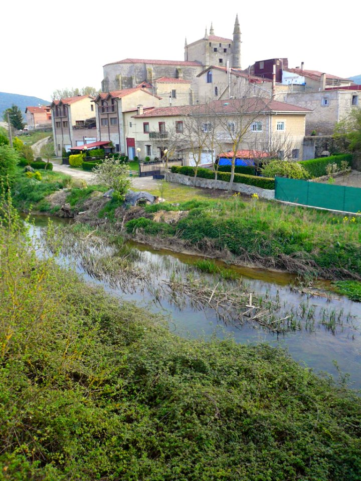 Orón (Miranda de Ebro) - Río Oroncillo 5