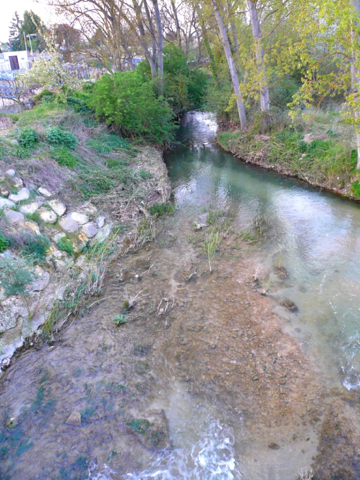 Orón (Miranda de Ebro) - Río Oroncillo 1