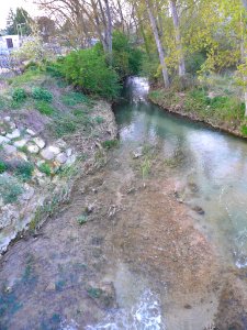 Orón (Miranda de Ebro) - Río Oroncillo 1