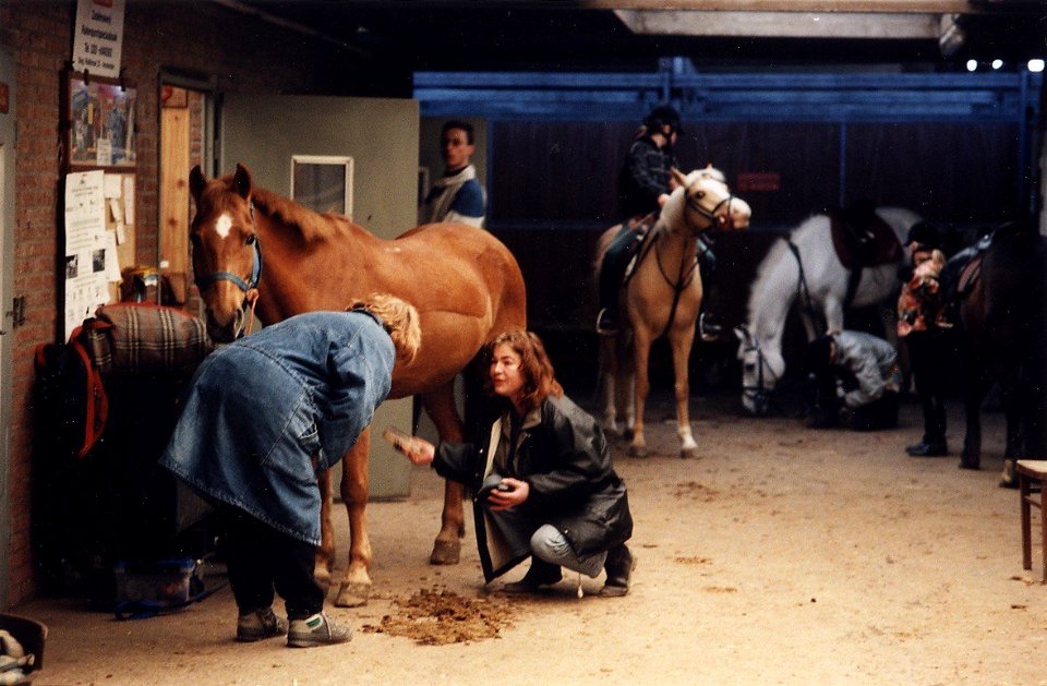 Opzadelen, afzadelen, hoeven schoon krabben.Een uurtje rijden komt neer op een avondvullend programma. Aangekocht in 1997 van United Photos de Boer bv. - Negatiefnummer 42672 kc 34 a. - Gepu, NL-HlmNHA 54036404