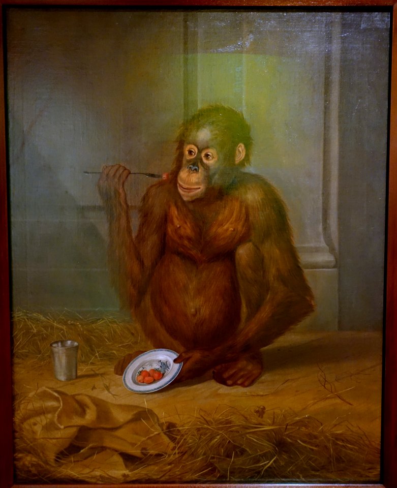 Orangutan eating strawberries, by Tethart Philip Christian Haag (1737-1812), oil on canvas - Braunschweigisches Landesmuseum - DSC04944