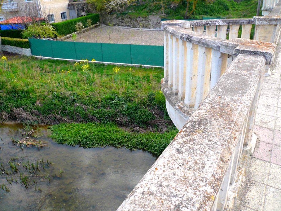 Orón (Miranda de Ebro) - Río Oroncillo 4