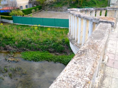Orón (Miranda de Ebro) - Río Oroncillo 4