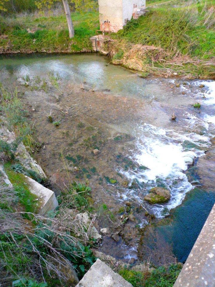 Orón (Miranda de Ebro) - Río Oroncillo 2