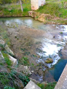 Orón (Miranda de Ebro) - Río Oroncillo 2