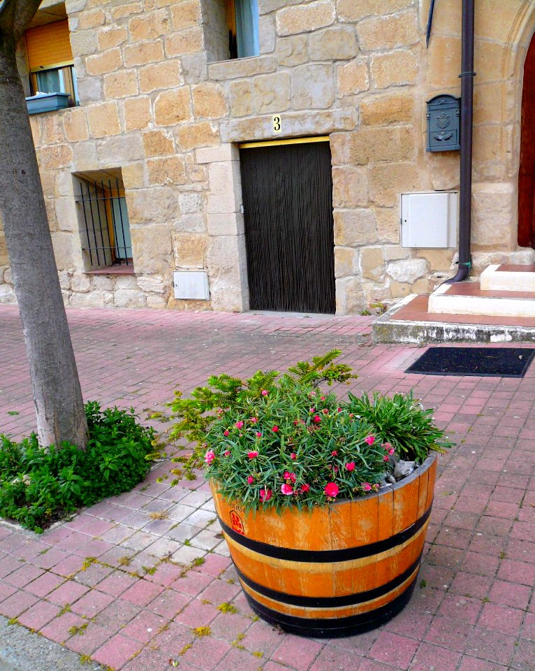 Orón (Miranda de Ebro) 29