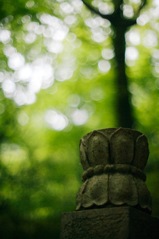 Lotus forest stone carving