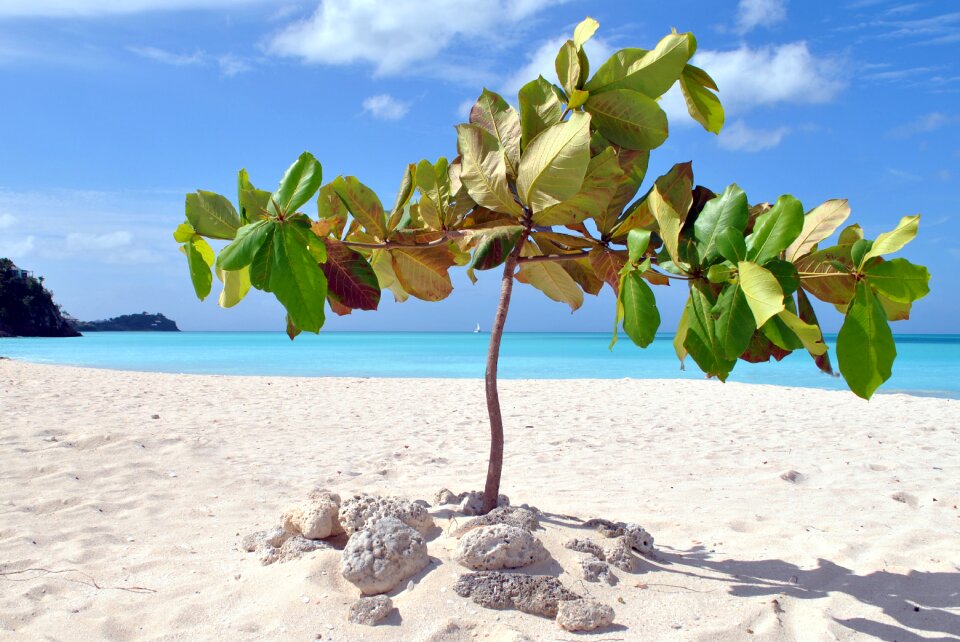 Stand sea vacations