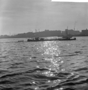 Opname binnenschepen in havens en kaden in Rotterdam in opdracht o.a. Het schip, Bestanddeelnr 911-7589