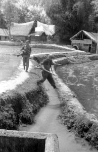 Opmars in Tapanoeli (Sumatra). Patrouillegang dwars door kampongs en sawahs, Bestanddeelnr 2759