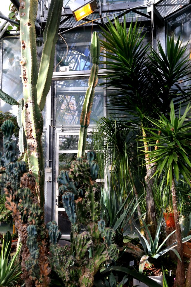 Oulu University Botanical Gardens 20161002