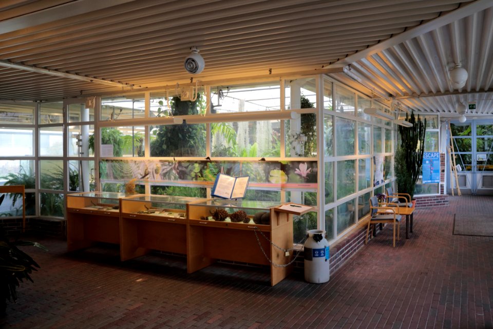 Oulu University Botanical Gardens 20160917 01