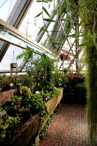 Oulu University Botanical Gardens 20160917 07