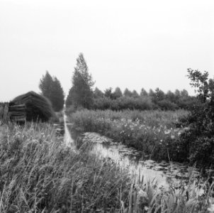 Oude toestand, Bestanddeelnr 250-8005