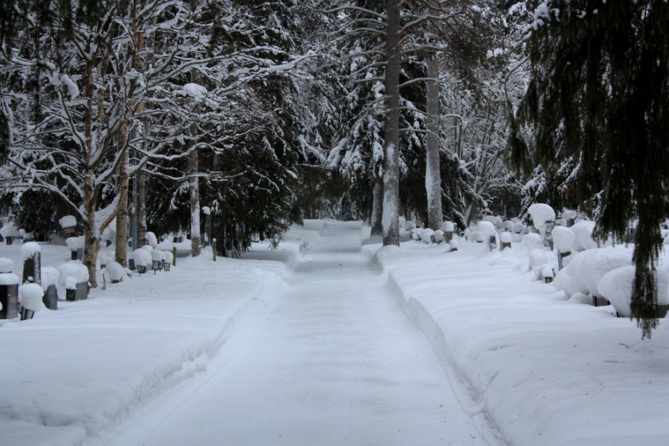 Oulujoki Cemetery 20110227 02