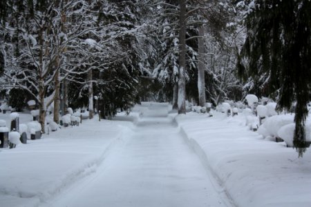 Oulujoki Cemetery 20110227 02