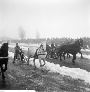 Oud en Nieuw in Akkrum, J van der Meer en R Bootsma met Ali B uit Henneard, Bestanddeelnr 914-6812