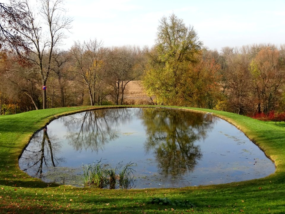 Ostromecko park dol 3 10-2013