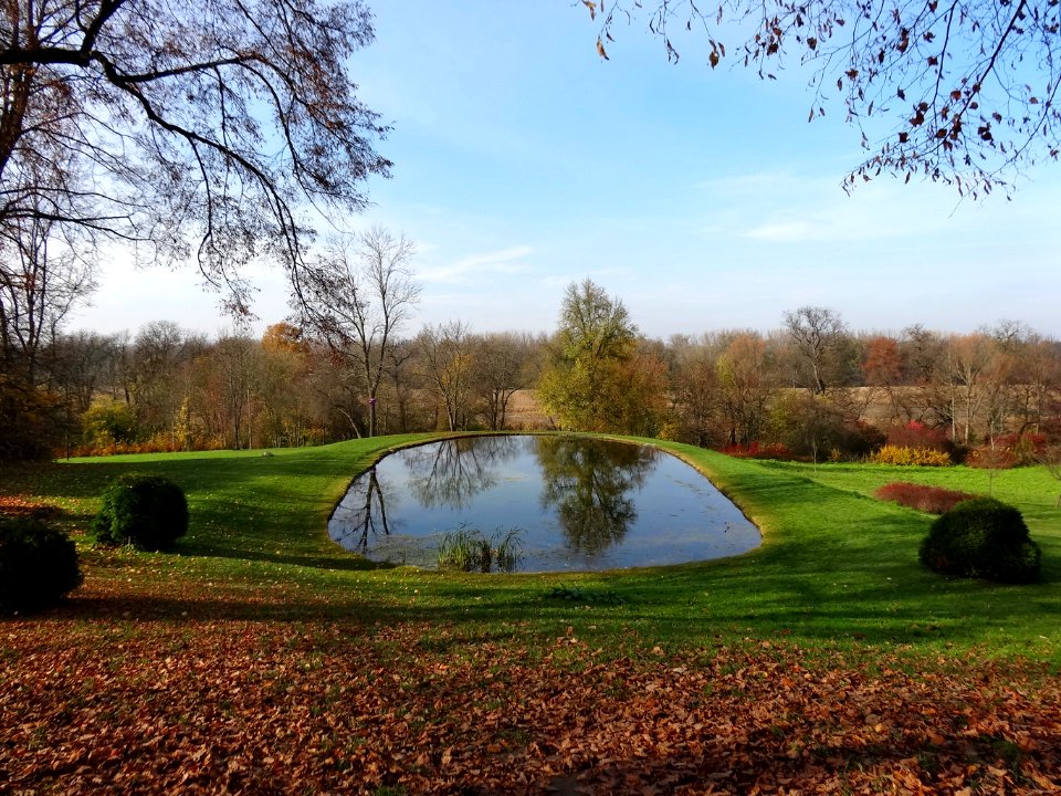 Ostromecko park dol 2 10-2013