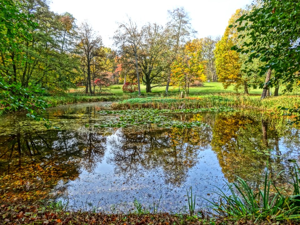 Ostromecko park 4 10-2013