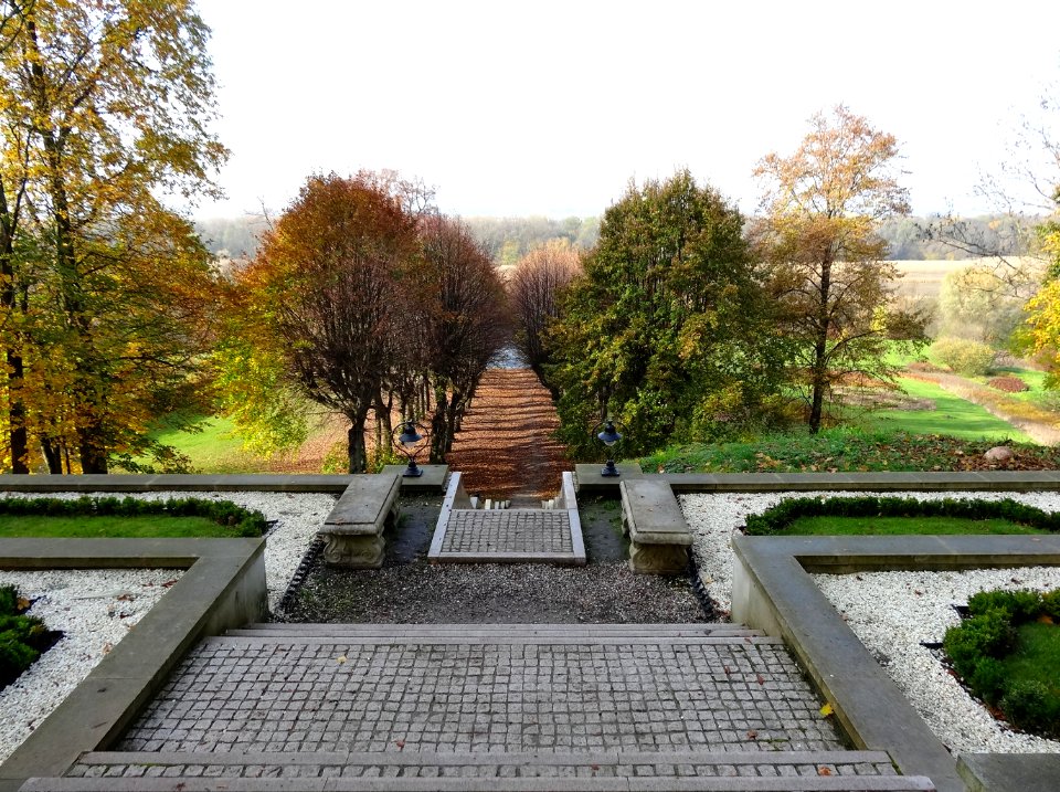 Ostromecko park aleja 2 10-2013