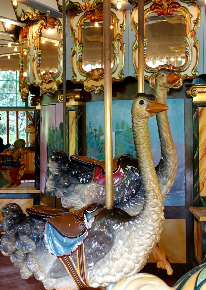Ostriches - Dentzel Carousel, San Francisco Zoo - San Francisco, CA - DSC03432