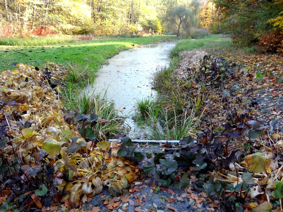 Ostromecko park 24 10-2013