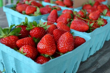 Organic market food photo