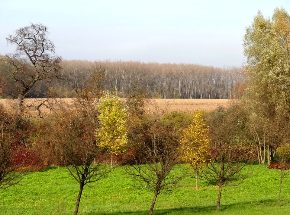 Ostromecko widokdolWisly 1 10-2013